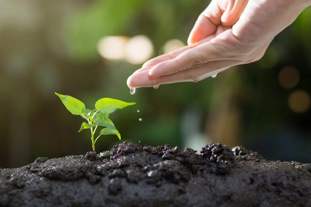 33 Powerful Bible Verses About Seeds: Planting Faith and Growth