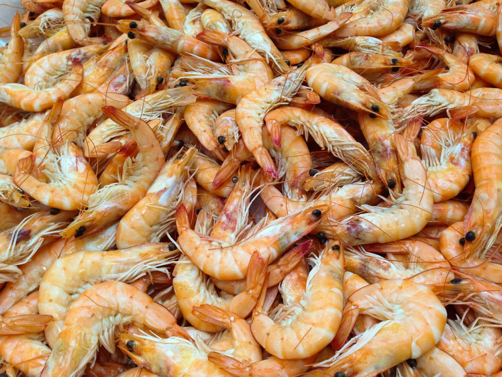 What Does the Bible Say About Eating Shrimp?