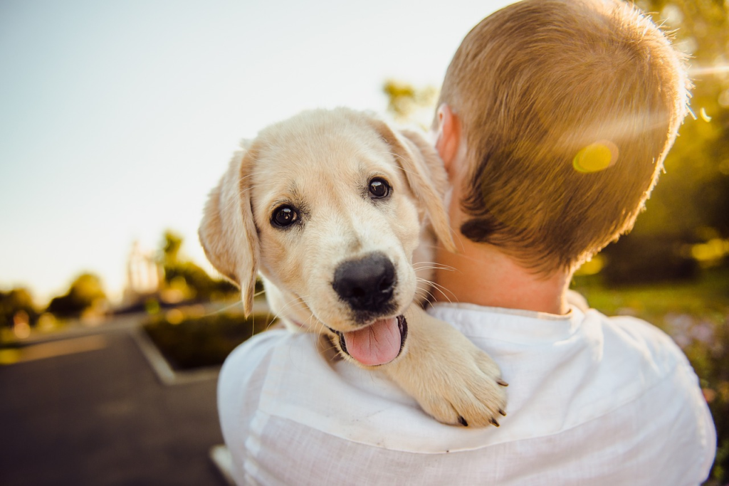 Bible verse dog is man's best friend