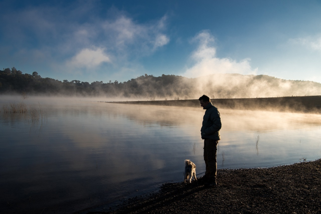 Bible verse dog is man's best friend