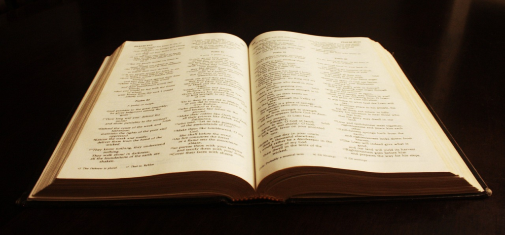 Which is the Better Bible Translation for New Believers?