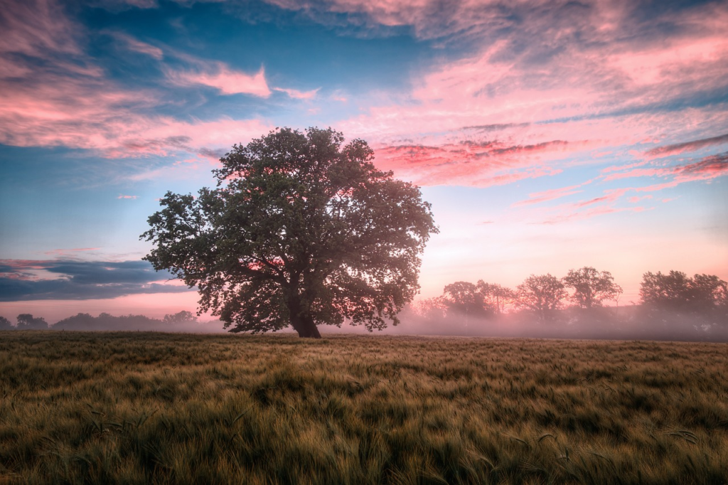 Key Bible Verses About the Beauty of Nature